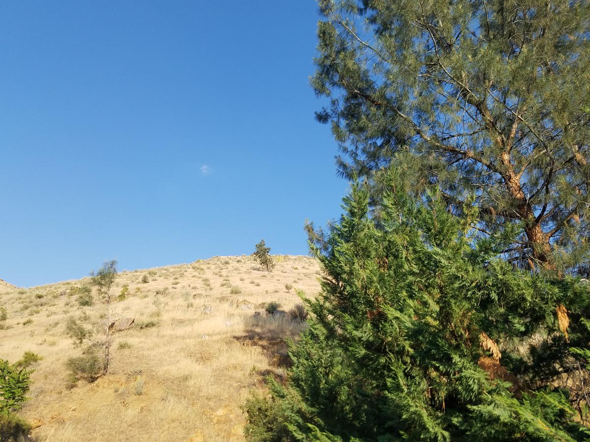 קרנוויל Sacred Mtn River Suites מראה חיצוני תמונה
